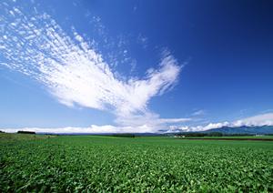 浜松市中央区に新規オープンした家族葬専門の葬儀場「家族葬のタクセル葵西」の全容解説