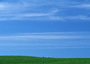 【公式】家族葬のタクセル今泉新町｜宇都宮市で安心の低価格家族葬・直葬プランを提供