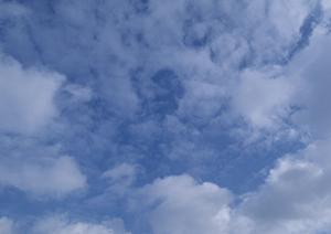 2025年最新！浅草でお墓探しのポイントと選び方ガイド