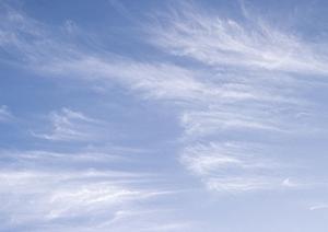 【安心と信頼の葬儀サービス】ティア野田の特徴と詳細情報｜千葉県野田市の家族葬対応斎場