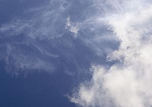 静岡県の信頼できる葬儀サービス｜家族葬・火葬・斎場・葬儀場の最新情報と選び方